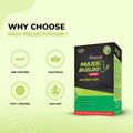 Mass Buildo Powder- Best Powder For Muscle Gain