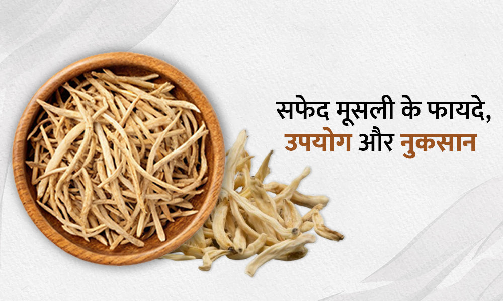 Safed Musli Benefits in Hindi: सफेद मूसली के फायदे, उपयोग और नुकसान