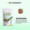 Shatavari Powder- Stamina Booster Powder